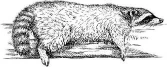 Иллюстрация к книге — Полукровка [book-illustration-1.webp]