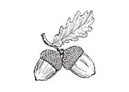 Иллюстрация к книге — Полукровка [book-illustration-15.webp]