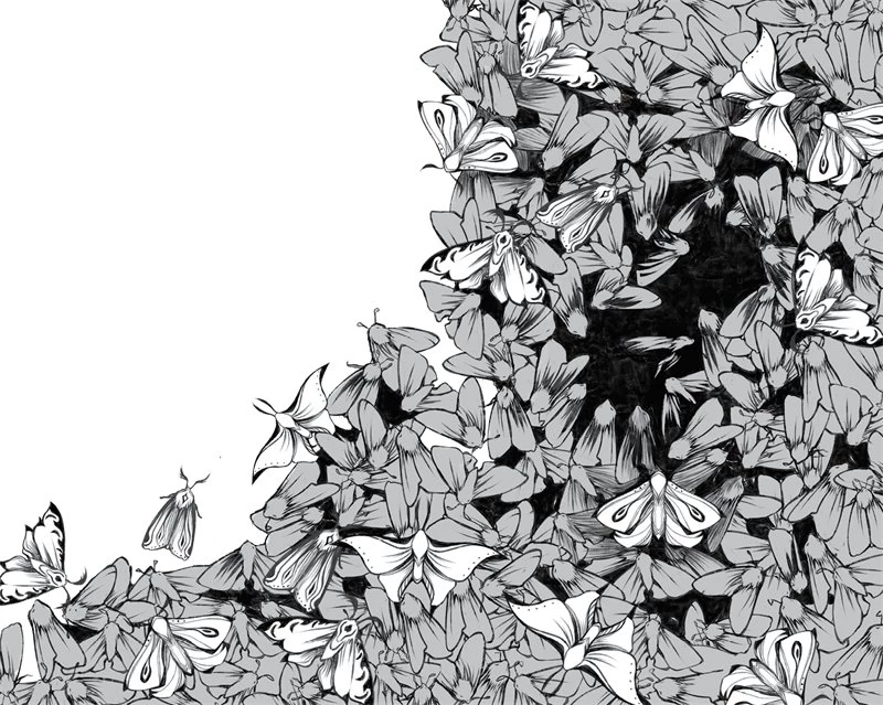 Иллюстрация к книге — Кай. Коллекционное издание [book-illustration-3.webp]