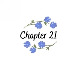 Иллюстрация к книге — Свобода [book-illustration-28.webp]