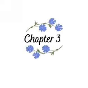 Иллюстрация к книге — Свобода [book-illustration-33.webp]