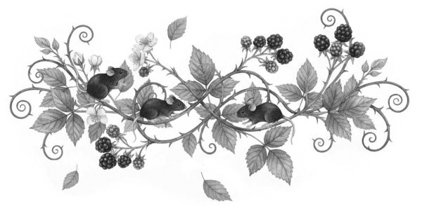 Иллюстрация к книге — Потусторонние истории [book-illustration-3.webp]