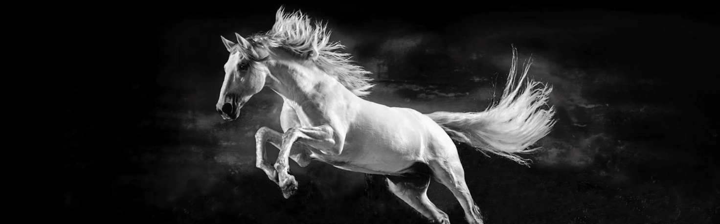 Иллюстрация к книге — Ибо однажды придёт к тебе шуршик… [book-illustration-10.webp]