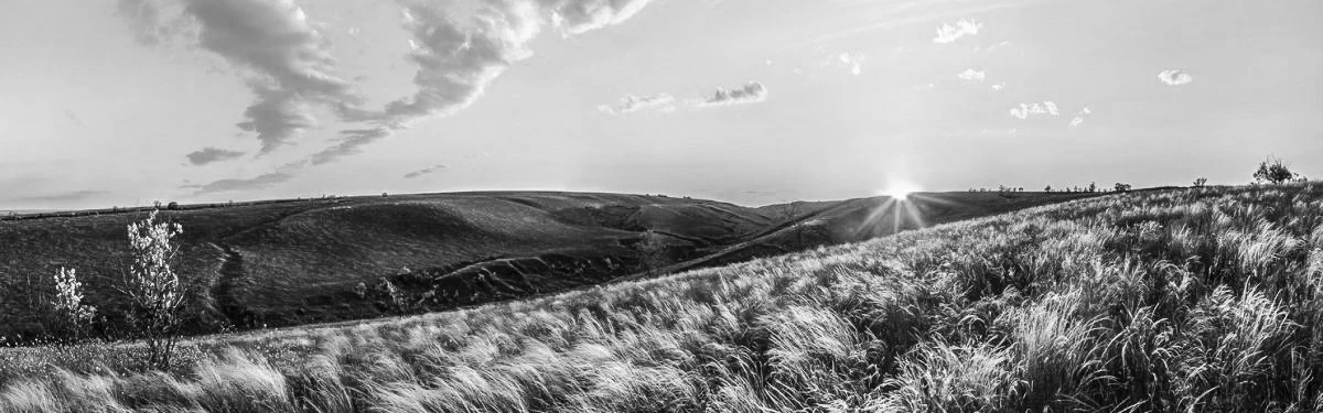 Иллюстрация к книге — Ибо однажды придёт к тебе шуршик… [book-illustration-3.webp]