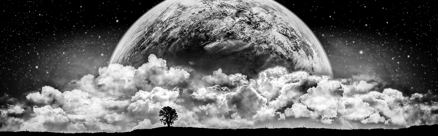 Иллюстрация к книге — Ибо однажды придёт к тебе шуршик… [book-illustration-33.webp]