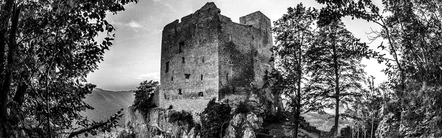 Иллюстрация к книге — Ибо однажды придёт к тебе шуршик… [book-illustration-35.webp]