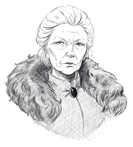 Иллюстрация к книге — Солнце, уснувшее в ладонях ведьмы [book-illustration-19.webp]