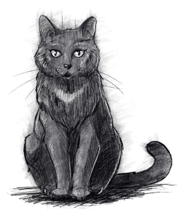 Иллюстрация к книге — Солнце, уснувшее в ладонях ведьмы [book-illustration-39.webp]