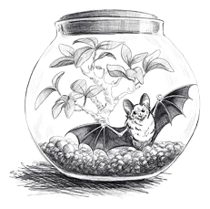 Иллюстрация к книге — Солнце, уснувшее в ладонях ведьмы [book-illustration-8.webp]