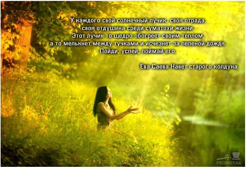 Иллюстрация к книге — Навет старого колдуна [book-illustration-1.webp]