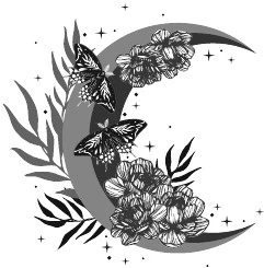 Иллюстрация к книге — Свет, ставший ядом [book-illustration-56.webp]