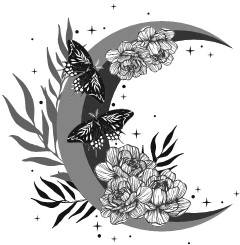 Иллюстрация к книге — Свет, ставший ядом [book-illustration-67.webp]