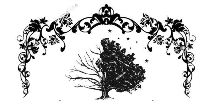 Иллюстрация к книге — Леди тьмы [book-illustration-11.webp]