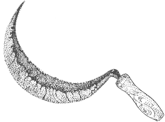 Иллюстрация к книге — Позолоченная корона [book-illustration.webp]