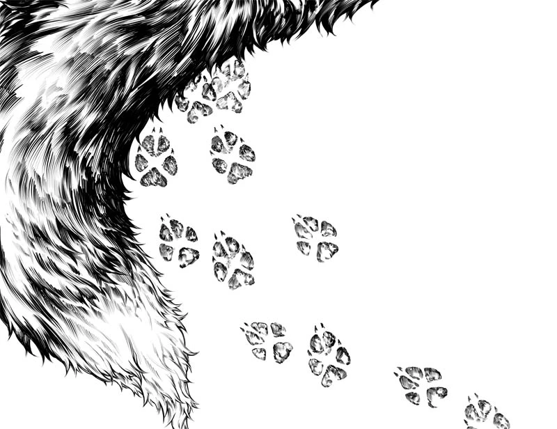 Иллюстрация к книге — Смерть ринханто [i_008.webp]