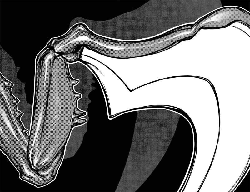 Иллюстрация к книге — Смерть ринханто [i_014.webp]