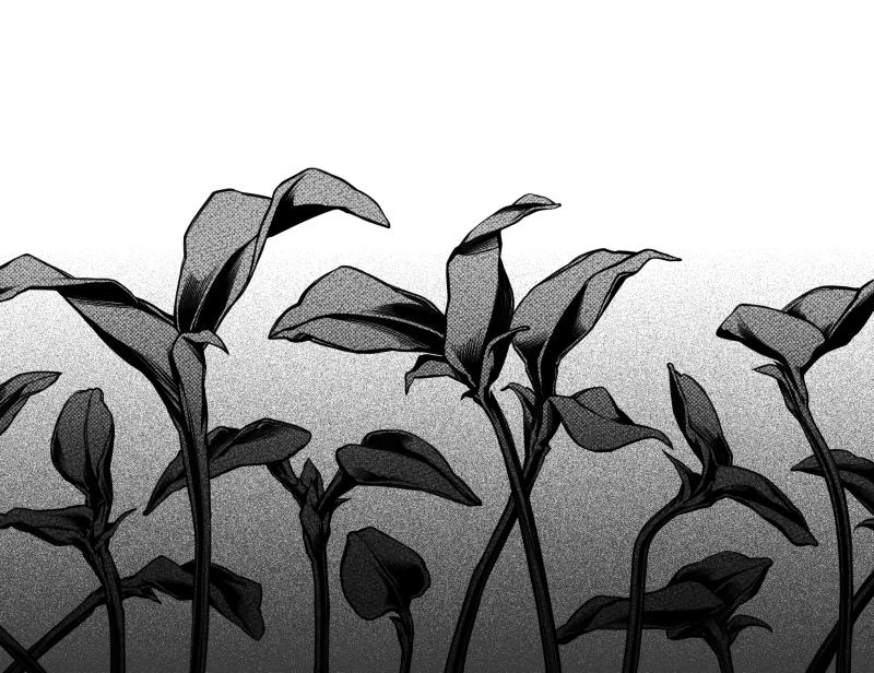 Иллюстрация к книге — Океан и Архитектор [i_006.webp]