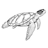 Иллюстрация к книге — Как провести медовый месяц в одиночестве [book-illustration-1.webp]