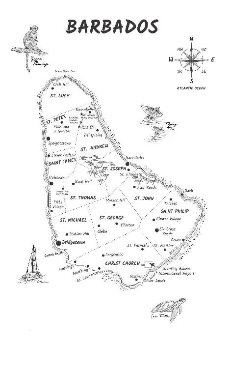 Иллюстрация к книге — Как провести медовый месяц в одиночестве [book-illustration.webp]