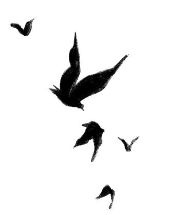 Иллюстрация к книге — Птичий остров [i_001.webp]