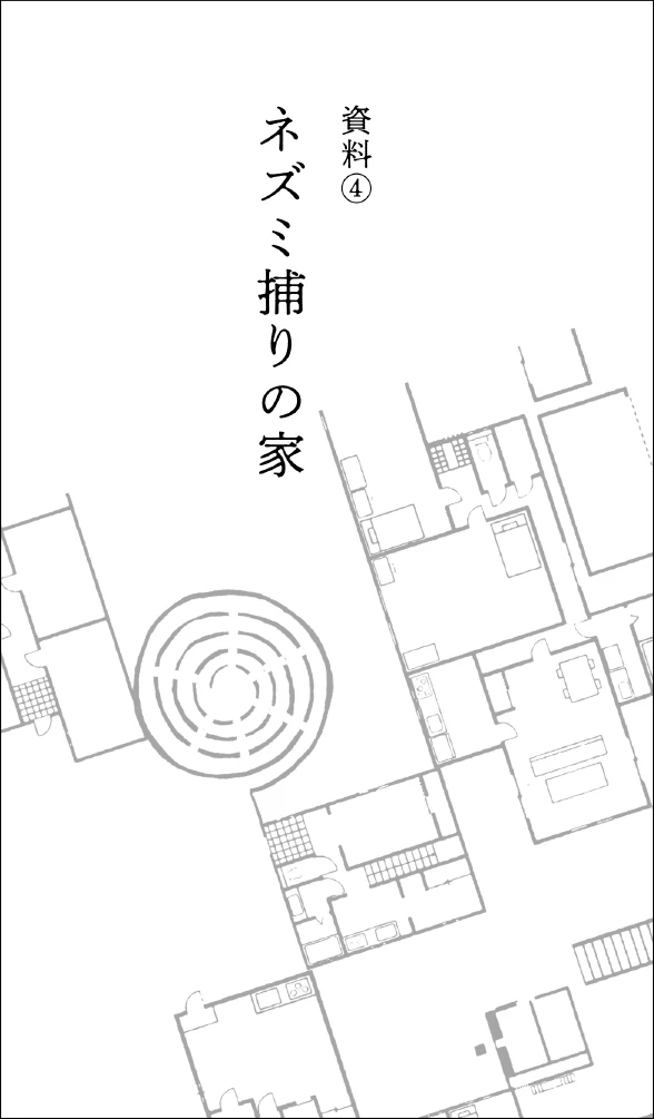 Иллюстрация к книге — Странный дом 2 [i_047.webp]