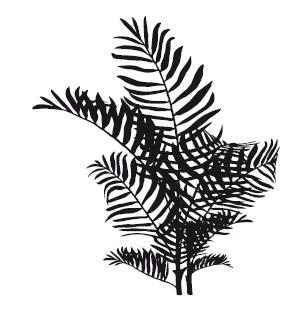 Иллюстрация к книге — Охота на зверя [book-illustration-3.webp]