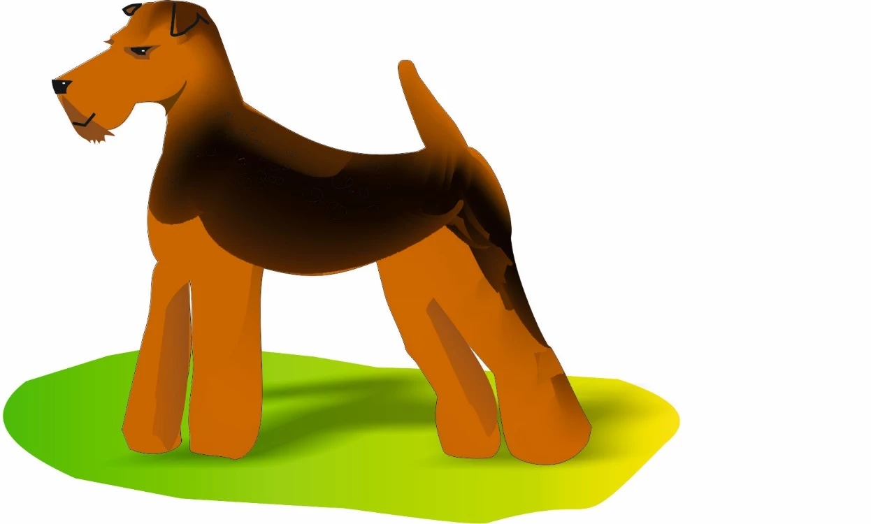 Иллюстрация к книге — 19 студентов, 14 дней и Керженец, или Блогер в щучьей пасти [book-illustration.webp]