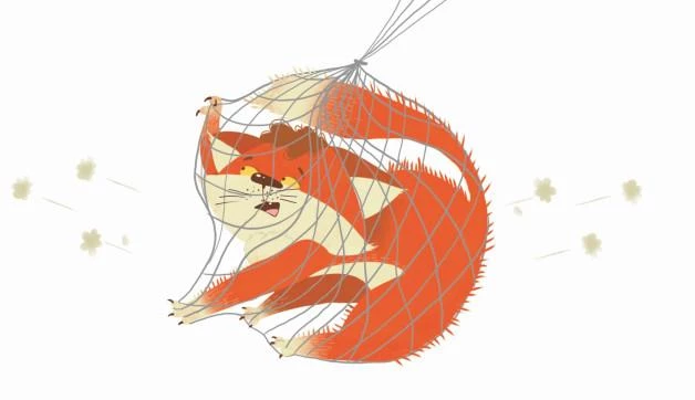 Иллюстрация к книге — Приключения дракона и кота. Большое путешествие [i_064.webp]