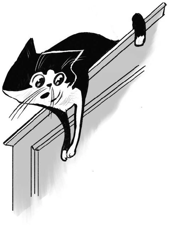 Иллюстрация к книге — Жанна Ладыжанская и тайна трёх пицц [i_020.webp]