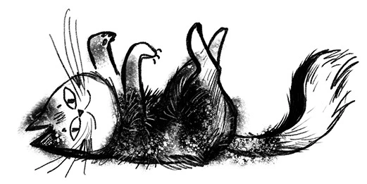 Иллюстрация к книге — Удивительные истории про собак, котов и даже хомяков [i_004.webp]