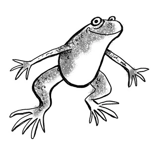 Иллюстрация к книге — Удивительные истории про собак, котов и даже хомяков [i_005.webp]