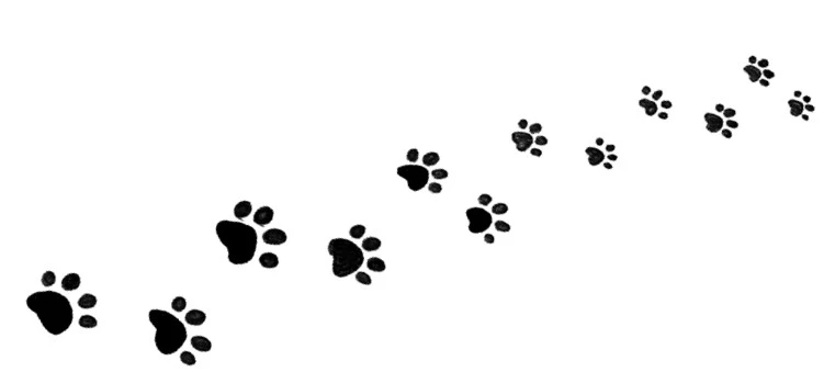 Иллюстрация к книге — Удивительные истории про собак, котов и даже хомяков [i_024.webp]