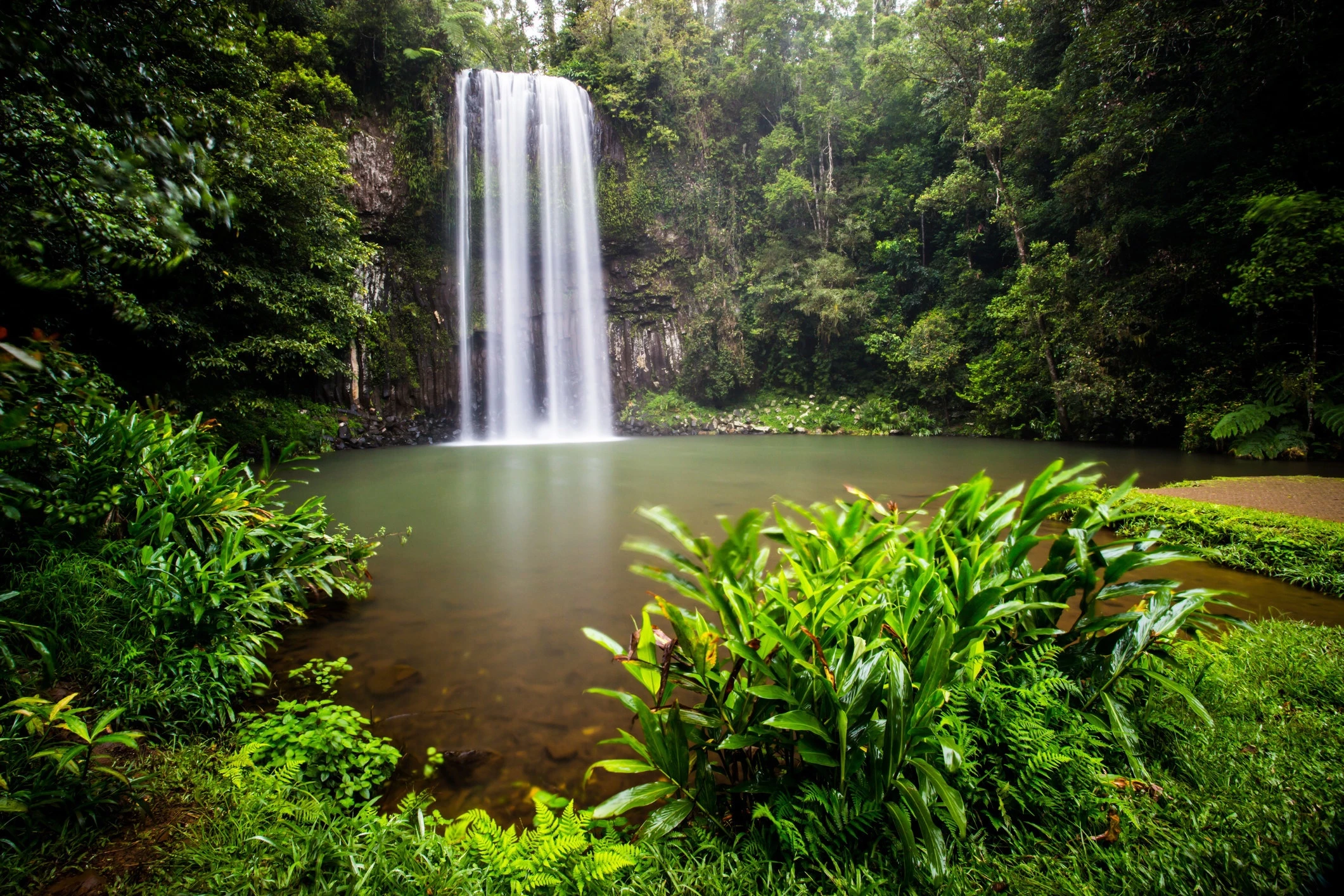 Иллюстрация к книге — В плену их страсти [book-illustration-5.webp]