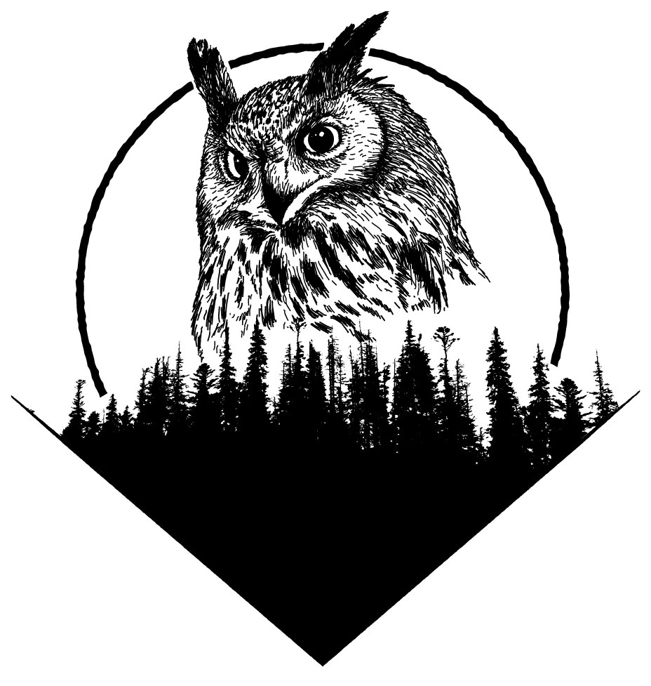 Иллюстрация к книге — Под знаком снежной совы [book-illustration.webp]