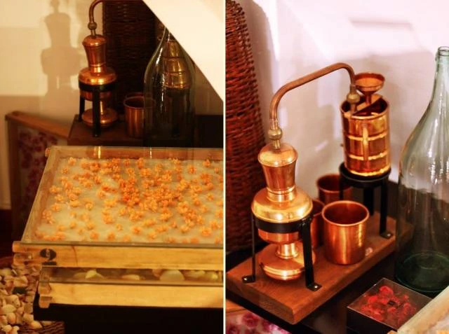 Иллюстрация к книге — Шлейф сандала [book-illustration-7.webp]