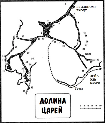 Иллюстрация к книге — Обезьяна – хранительница равновесия [img_2.webp]