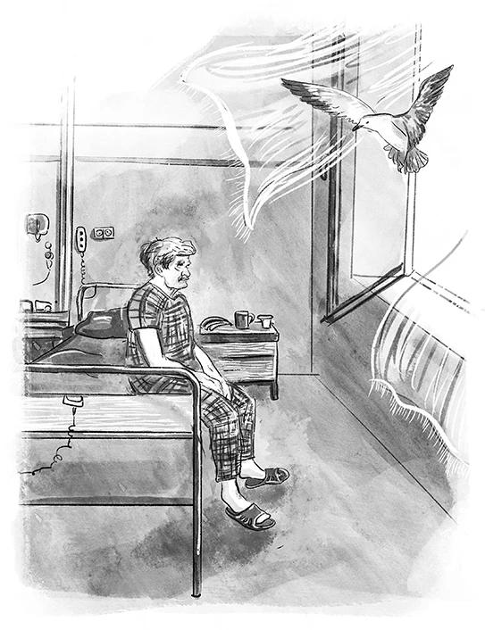 Иллюстрация к книге — Наперегонки с ветром [i_011.webp]