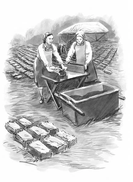 Иллюстрация к книге — Рожденная быть второй [i_003.webp]