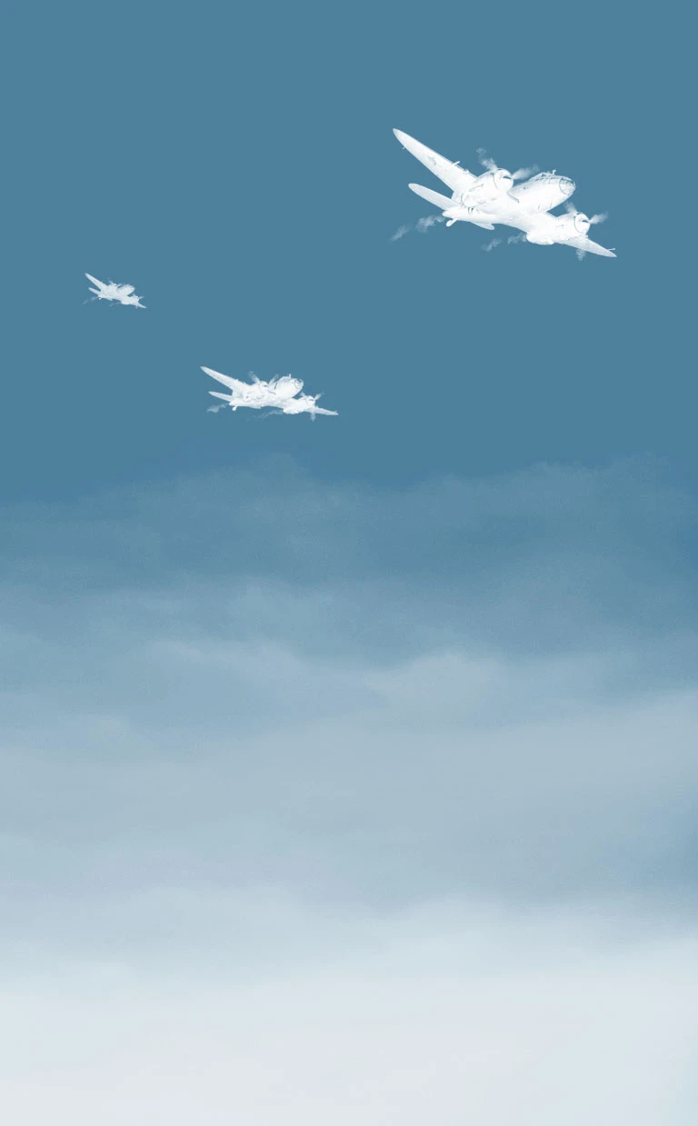 Иллюстрация к книге — Письма из Пёрл-Харбора. Основано на реальных событиях [i_003.webp]