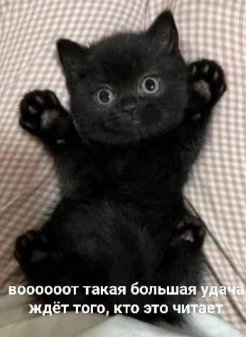 Иллюстрация к книге — Приманка Хаоса 14 - Мир Бездны 18+ [book-illustration-1.webp]