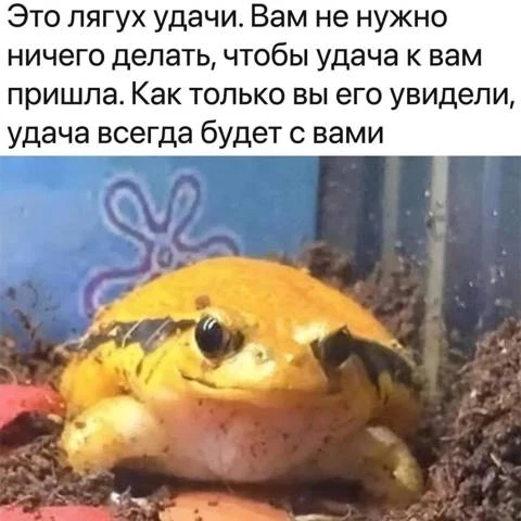 Иллюстрация к книге — Приманка Хаоса 13 - Мир Бездны 18+ [book-illustration-4.webp]