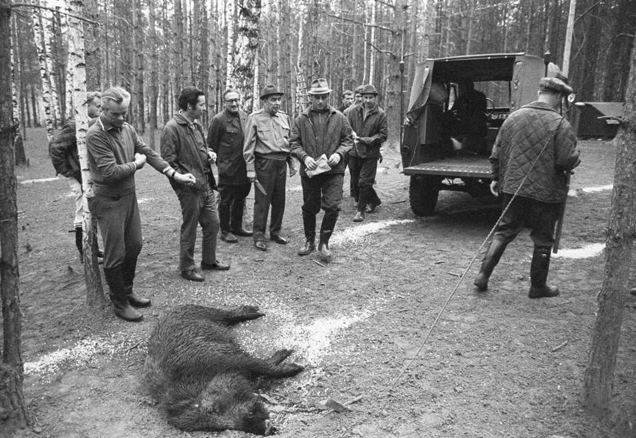 Иллюстрация к книге — Телохранитель Генсека. Том 2 [book-illustration-2.webp]