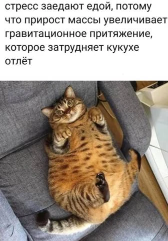 Иллюстрация к книге — Мимик нового Мира 12 [book-illustration-1.webp]