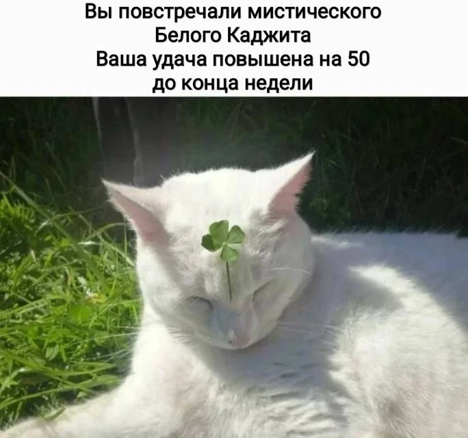 Иллюстрация к книге — Мимик нового Мира 19 [book-illustration-1.webp]