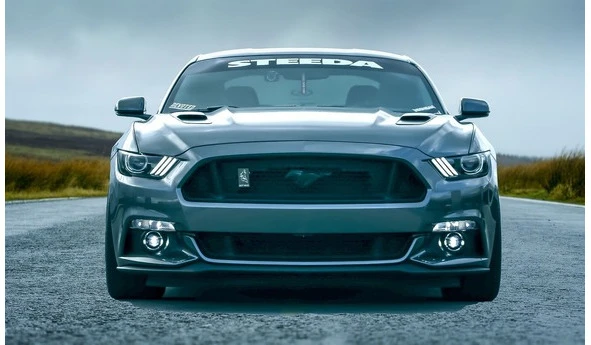 Иллюстрация к книге — Цифровая гигиена. Том 2 [book-illustration-186.webp]