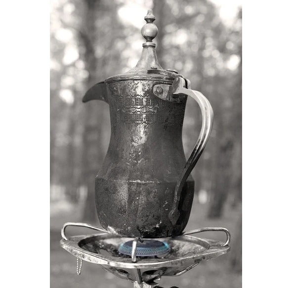 Иллюстрация к книге — Цифровая гигиена. Том 2 [book-illustration-76.webp]