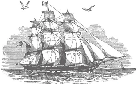 Иллюстрация к книге — Ведьма правды [i_020.webp]