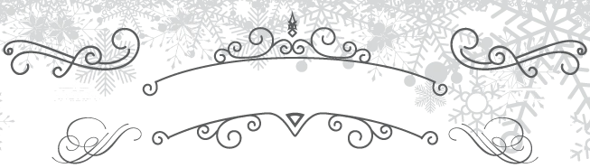 Иллюстрация к книге — Принц льда и крови [i_110.webp]