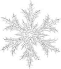 Иллюстрация к книге — Принц льда и крови [i_116.webp]