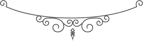 Иллюстрация к книге — Принц льда и крови [i_119.webp]